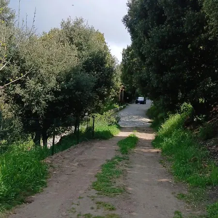 Διαμέρισμα Sa Mesaluna Naturhouse