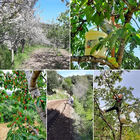 Sa Mesaluna Nature House Elini